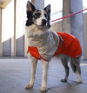 Fish princess verstellbare Luxus Classic Haustiere Bekleidung XL Große Hunde kleidung Hunde outfits für Winter Sommer Frühling - Product Image 2