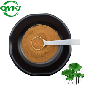 Премиальный порошок листьев лотоса, органический экстракт листьев лотоса (2%-4%), алкалоиды листьев лотоса, натуральный экстракт листьев лотоса. - Product Image 1