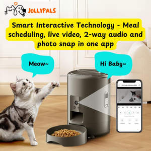 <span class=keywords><strong>2026</strong></span> 핫 세일 자동 개밥 먹이기 앱 제어 2L 스마트 와이파이 고양이 급식기 인터랙티브 펫 급식기 라이브 카메라 포함 - Product Image 2