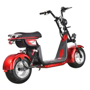 Scooter électrique Seev M8 cee Coc européen 60V 1500W 4000W 2000W Sl1 e-bike Davidson Hl 3.0 Canada chine électronique