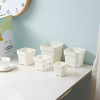 Petit pot à fleurs en plastique de 5 cm d'épaisseur pour plantes succulentes et cactus, design traditionnel, pot carré durable pour la maison, les centres commerciaux