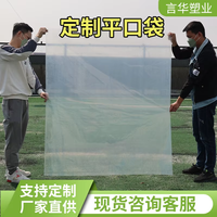 Emballage en plastique LDPE HDPE transparent imprimé sur mesure, jetable et réutilisable, pour écouteurs, protection renforcée, poche plate D1004C