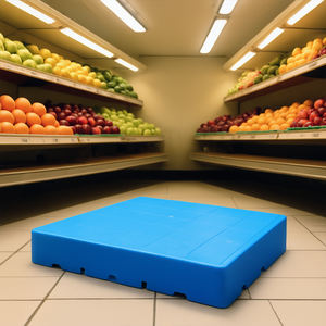 Toka bağlantı tasarımı ile küçük boyutlu plastik tepsi, ev kullanımı, depo ve süpermarket için uygun 500*400*100mm - Product Image 3