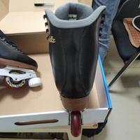 Patins à roulettes respirants rétractables, chaussures de patinage durables et ajustables pour le fitness en extérieur, pour adultes débutants