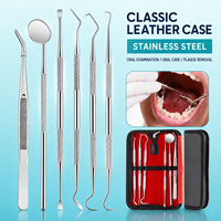 Famille soins bucco-dentaires outils dentaires en acier inoxydable grattoir dentaire choix de dents ensemble d'hygiène outils de nettoyage des dents pour la maison chiens de compagnie