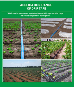 Kit d'irrigation Plentirian émetteur d'<span class=keywords><strong>arrosage</strong></span> ruban <span class=keywords><strong>goutte</strong></span> <span class=keywords><strong>à</strong></span> <span class=keywords><strong>goutte</strong></span> ruban d'irrigation <span class=keywords><strong>goutte</strong></span> <span class=keywords><strong>à</strong></span> <span class=keywords><strong>goutte</strong></span> <span class=keywords><strong>tuyau</strong></span> <span class=keywords><strong>plat</strong></span> - Product Image 6