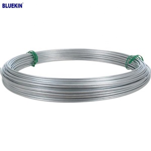 Basso prezzo BWG 20 21 22 GI filo legante zincato per la costruzione di edifici - Product Image 4
