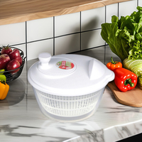 Haixin Bpa Gratis Quick Handbediende Home Keuken Draagbare Groenten En Fruit Droger Afvoer Plastic Salade Spinner Droger