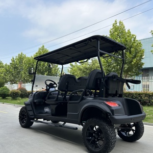 New Designing Wholesale Customized <b>2</b>+0/<b>2</b>+<b>2</b>/4+<b>2</b> <b>Passenger</b> Seaters Golf Carts Car - Product Image 4