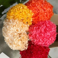 Bunga Hydrangea Asli Awet Bentuk Bulat 50-60cm, Diolah dengan Gliserin, Dekorasi Bunga Abadi untuk Pernikahan dan Rumah