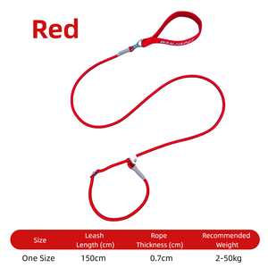 ठोस रंग, एक टुकड़ा कॉलर और लीश 2-इन-1, शो ग्रेड पैचेन (प्रशिक्षण) व्यापक हैंडल, लुभावनी और गैर-स्ट्रैकोण, अक्षर कढ़ाई उच्चारण - Product Image 6