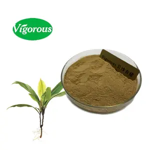 Campione gratuito ISO labisia pumila herb powder 10:1 estratto di kacip fatimah biologico per le donne