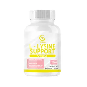 L-Lysine Defense Immune Support Complex 1500 MG L-Lysine Plusオリーブリーフ、ニンニク、ビタミンC、亜鉛