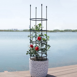 Supports de plantes en métal <span class=keywords><strong>pour</strong></span> jardin, cage <span class=keywords><strong>pour</strong></span> tomates, concombres, fruits, haricots, obélisque, treillis <span class=keywords><strong>pour</strong></span> plantes grimpantes - Product Image 1