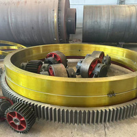 Machine de séchage rotative à tambour pour l'industrie alimentaire, équipement de séchage des céréales, du maïs et des légumes avec système de chauffage stable