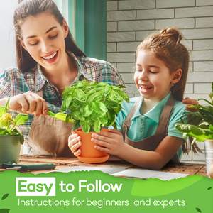 Kit de jardí<span class=keywords><strong>n</strong></span> de hierbas Regalos únicos de jardinería para mujeres <span class=keywords><strong>8</strong></span> Variedad Kit de jardí<span class=keywords><strong>n</strong></span> de hierbas culinarias Interior y exterior - Product Image 5