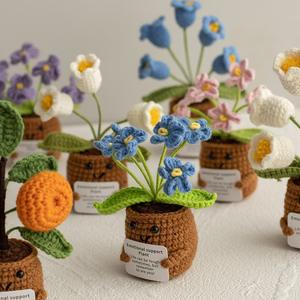 Mini Flores Secas Hechas a Mano, Margarita, Nomeolvides, <span class=keywords><strong>Planta</strong></span> Emocional Positiva, <span class=keywords><strong>Planta</strong></span> en Maceta Tejida a Crochet - Product Image 2
