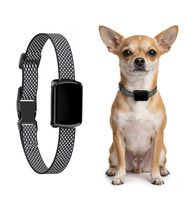 Localisateur GPS pour chien et chat, localisation en temps réel, alertes d'évasion, notifications de santé, traceur d'animaux imperméable