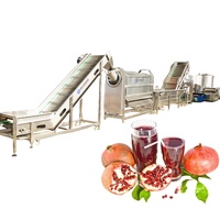 Automatische Granaatappelsap Productielijn Granaatappelsap Verwerkingsfabriek Apparatuur Maken Fabriek Machines Prijs Voor Verkoop