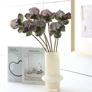 Vente en gros de haute qualité orchidées <span class=keywords><strong>Cattleya</strong></span> artificielles en latex orchidées Phalaenopsis Real Touch Cymbidium orchidées de luxe intérieur extérieur - Product Image 5
