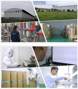 Bột Chiết Xuất Hạt Vừng Đen Tự Nhiên Độ Tinh Khiết Cao Hữu Cơ Tự Nhiên Bột <span class=keywords><strong>Sesamin</strong></span> 98% - Product Image 5