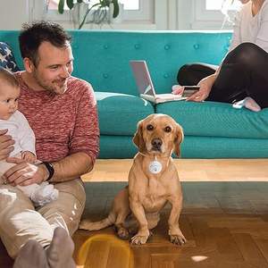 ป้ายชื่อสัตว์เลี้ยง พวงกุญแจสแตนเลส สลักชื่อสัตว์เลี้ยงตามสั่ง บัตรประจำตัวสัตว์เลี้ยง จี้โลหะ ของขวัญ ทนทานต่อสภาพอากาศ IP54 น้ำหนักเบา 0.073 กก. - Product Image 6