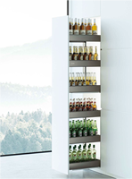Organizer Kabinet Ramah Lingkungan Modern dengan 1 Rak Penyimpanan Tersembunyi untuk Dapur dan Pantry