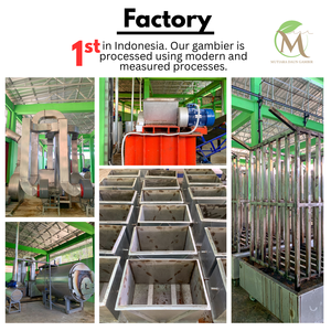 Gambir Koto Tabung d'Indonésie avec des extraits d'herbes sauvages. Marque Mutiara Daun Gambir - Product Image 6