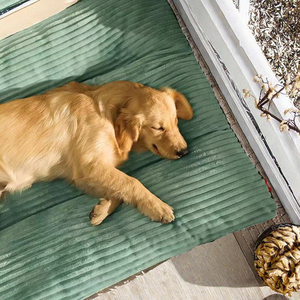 Высококачественная зимняя лежанка для собак, полностью съемная, моющаяся, 100% хлопок, большой теплый прямоугольный коврик для сна питомцев, прочный защитный чехол из картона - Product Image 3