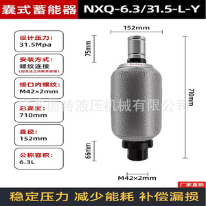 Acumulador de vejiga hidráulica Nxq de 6.3L y 31.5Mpa de acero al carbono para uso industrial - Product Image 1