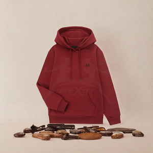 Sweat à capuche léger pour homme, coupe athlétique, manches longues, en molleton 100% coton respirant et coupe-vent, personnalisable avec logo OEM - Product Image 2