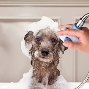 Pet Bathing Tool Pet Shower Sprayer Pet Scrubber And Dog Shower Sprayer Attachment Set