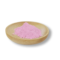 Voedingsmiddelkwaliteit Cranberry Fruit Extract Poeder 40 Procent Proanthocyanidinen Natuurlijke Antioxidanten voor Voedingssupplementen
