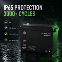 Batterie LiFePO4 LFP CFE-2560 PSE 12,8V 200Ah avec BMS IP65, 3000 cycles, pour onduleur SMA, systèmes solaires hors réseau