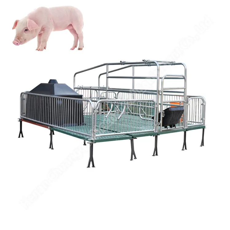 ארגזים כפולים מוצר פלסטיק רצפת מלטה ציוד חקלאי ארגז גידול חזירים לחזירים