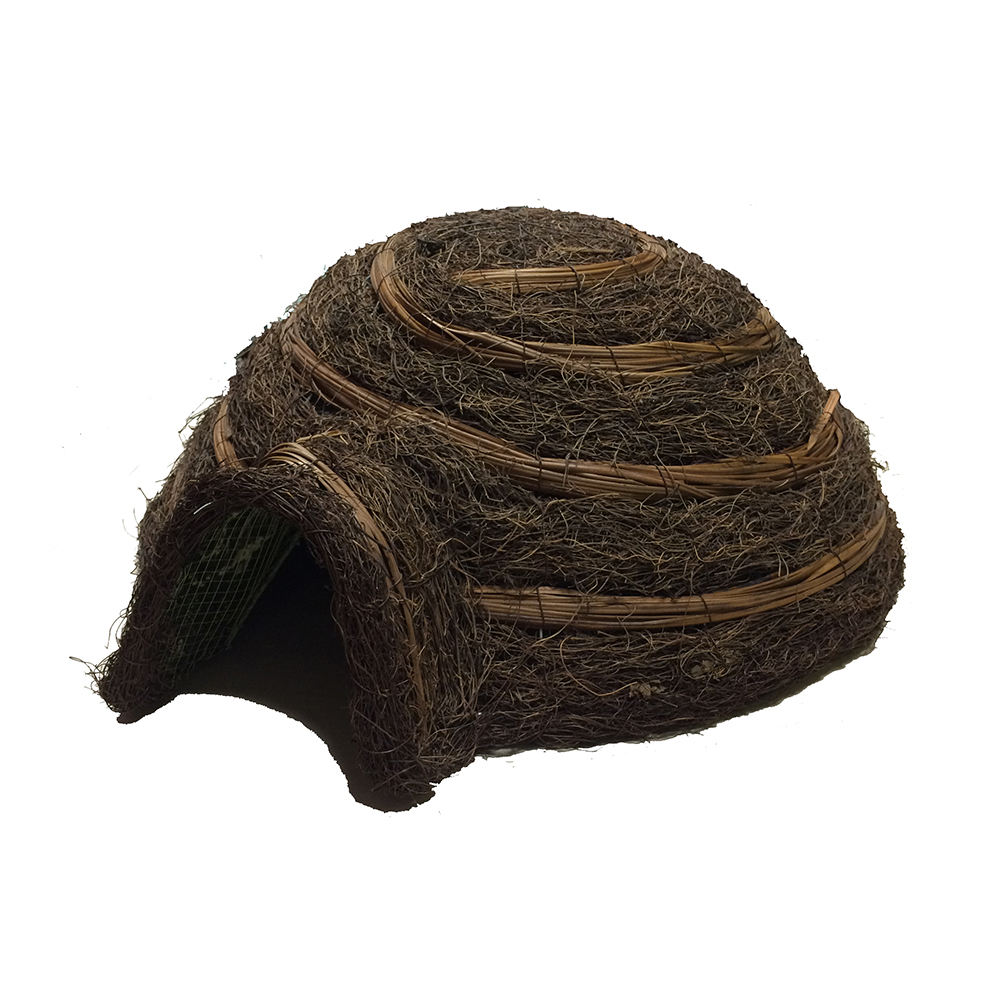 สีน้ำตาล