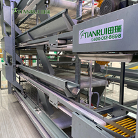 Fournisseurs d'équipements avicoles en Chine, cage à poules pondeuses automatique de type H pour élevage avicole, obtenez un devis gratuit