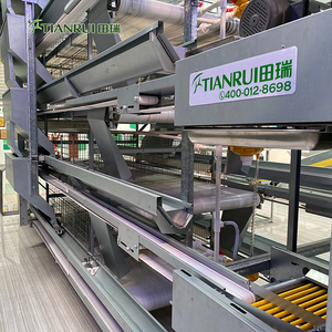 Fournisseurs d'équipements avicoles en Chine, cage à poules automatique de type H pour élevage avicole, obtenir un devis gratuit - Product Image 6