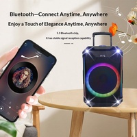 Enceinte trolley Bluetooth 15 pouces, volume puissant, longue autonomie, audio extérieur et domestique avec microphone, Bluetooth 5.3