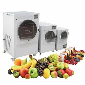 Mini congélateur domestique de grande capacité pour fruits, viande, légumes, déshydrateur par congélation sous vide - Product Image 6
