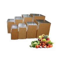 Fabrieksgemaakte geprofileerde thermisch geïsoleerde opvouwbare verzenddoos met aluminiumfolie voering voor diepvriesvoedsel, sushi, babyvoeding en koudeketen