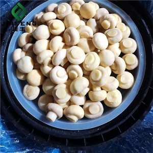 Nút nấm đóng hộp với toàn bộ hoặc lát Bán buôn tinh khiết ban đầu - Product Image 3