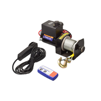 Mini treuil électrique 12v fabriqué à la chaîne, treuil électrique de voiture tout-terrain 4x4 utilisé de 12000lbs 12V 24V avec corde synthétique