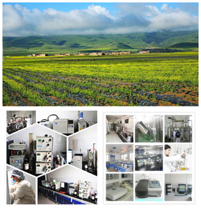 Alta Qualidade Orgânica <span class=keywords><strong>Rhodiola</strong></span> <span class=keywords><strong>Rosea</strong></span> Extrato Em Pó <span class=keywords><strong>Rhodiola</strong></span> <span class=keywords><strong>Rosea</strong></span> Extrato Em Pó <span class=keywords><strong>Rhodiola</strong></span> Extrato Em Pó - Product Image 4