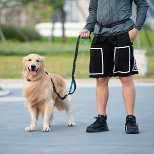 Dual Shock Absorbing <strong>Dog</strong> <strong>Leash</strong> with Reflective Waist Belt Pouch Hands Free Running Pet Lead <strong>for</strong> Large <strong>Dogs</strong> Outdoor Activities - Product Image 6