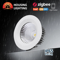 5 ans de garantie D110mm Angle de faisceau 60 10w 30w 40w COB Ip65 Downlight mur LED extérieur étanche Downlight pour salle de bain