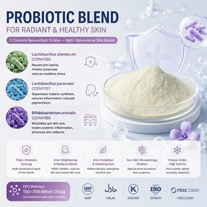 Fornitore OEM: Polvere Premiscelata Probiotica Multi-celulosa con Bifidobacterium Animalis CCFM1160 Brevettata per la Luminosità della Pelle - Product Image 1