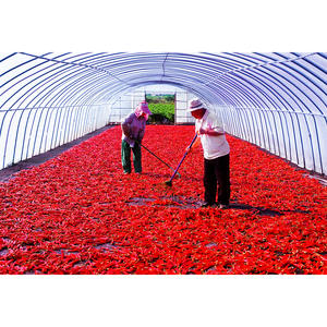 [Biggalchan 130g] Vivid Color Dried Chili for Bright Kimchi Low Temp Dried Hot <b>Flakes</b> Red <b>Pepper</b> Powder - Product Image 1