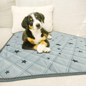 Moderno no tóxico impermeable de refrigeración para mascotas estera reutilizable lavable verano sólido perro sofá cubierta para mascotas coches asientos muebles - Product Image 1