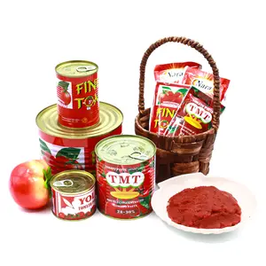 Pasta de tomate enlatada de fácil apertura, 70g x 50 latas/cartón, al mejor precio, fabricante profesional de pasta de tomate